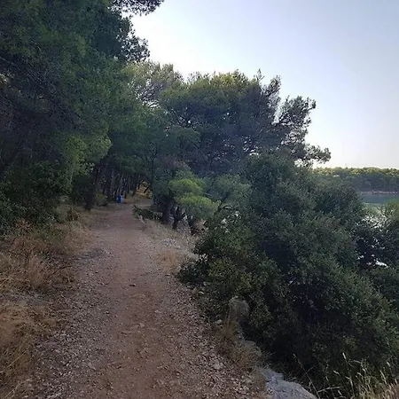 Relax Camp