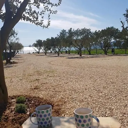 Relax Camp Campsite *